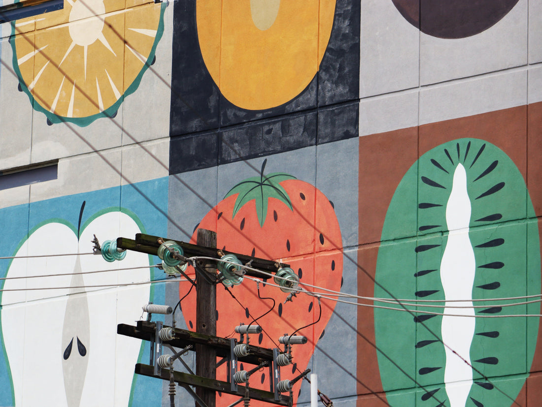 Fotógrafos de los barrios de Monterrey