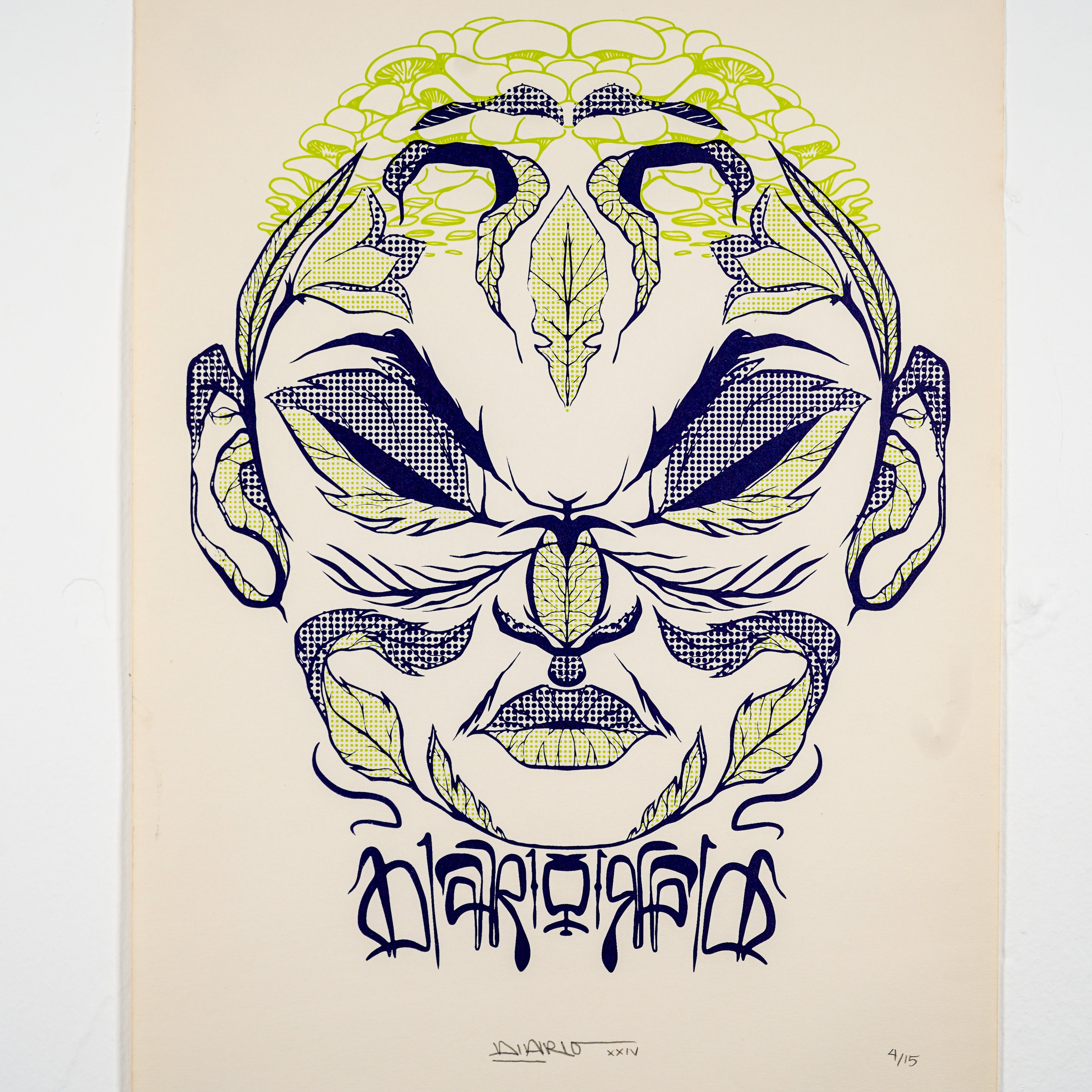 "NATURA" - MX Original Serigraphy 2-color print