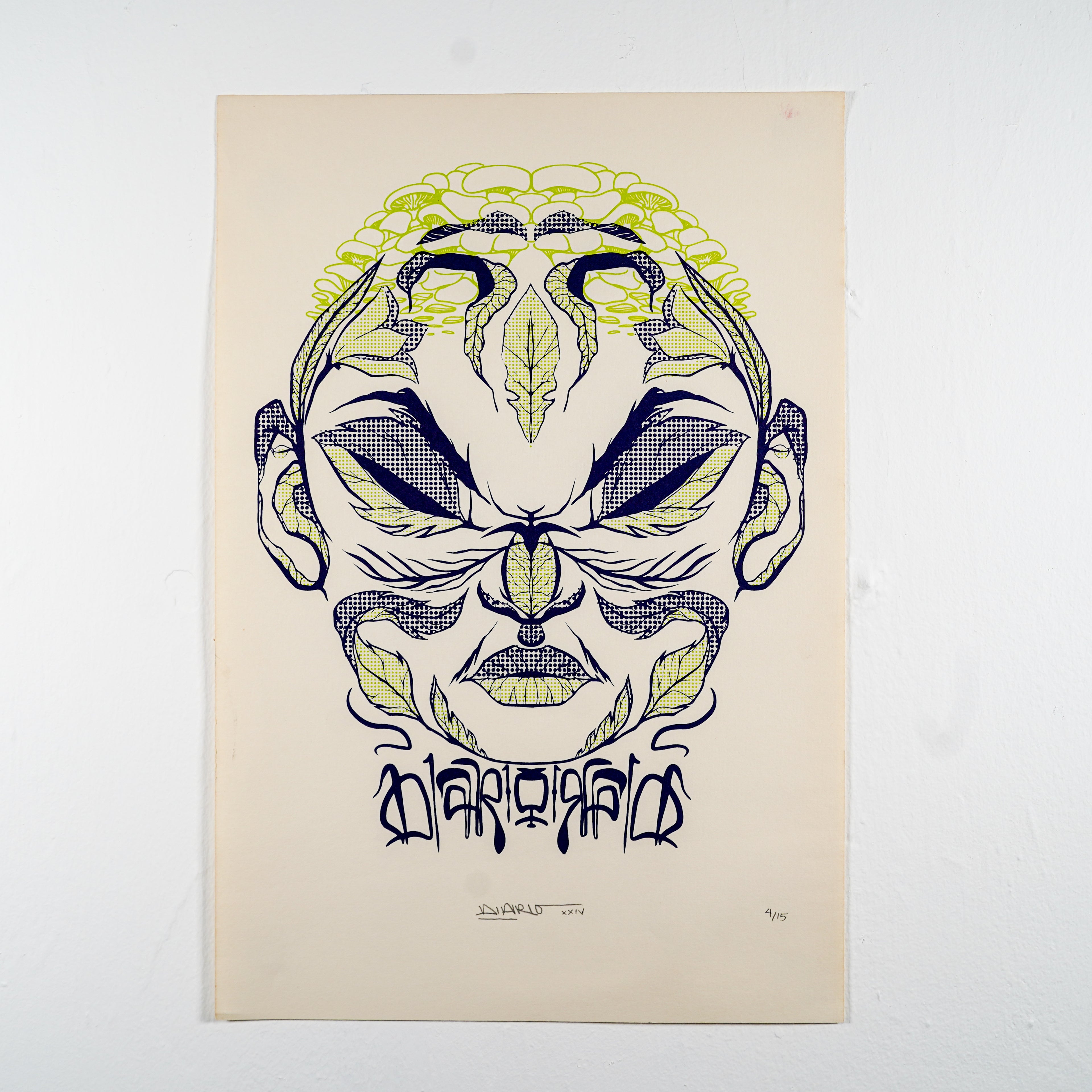 "NATURA" - MX Original Serigraphy 2-color print