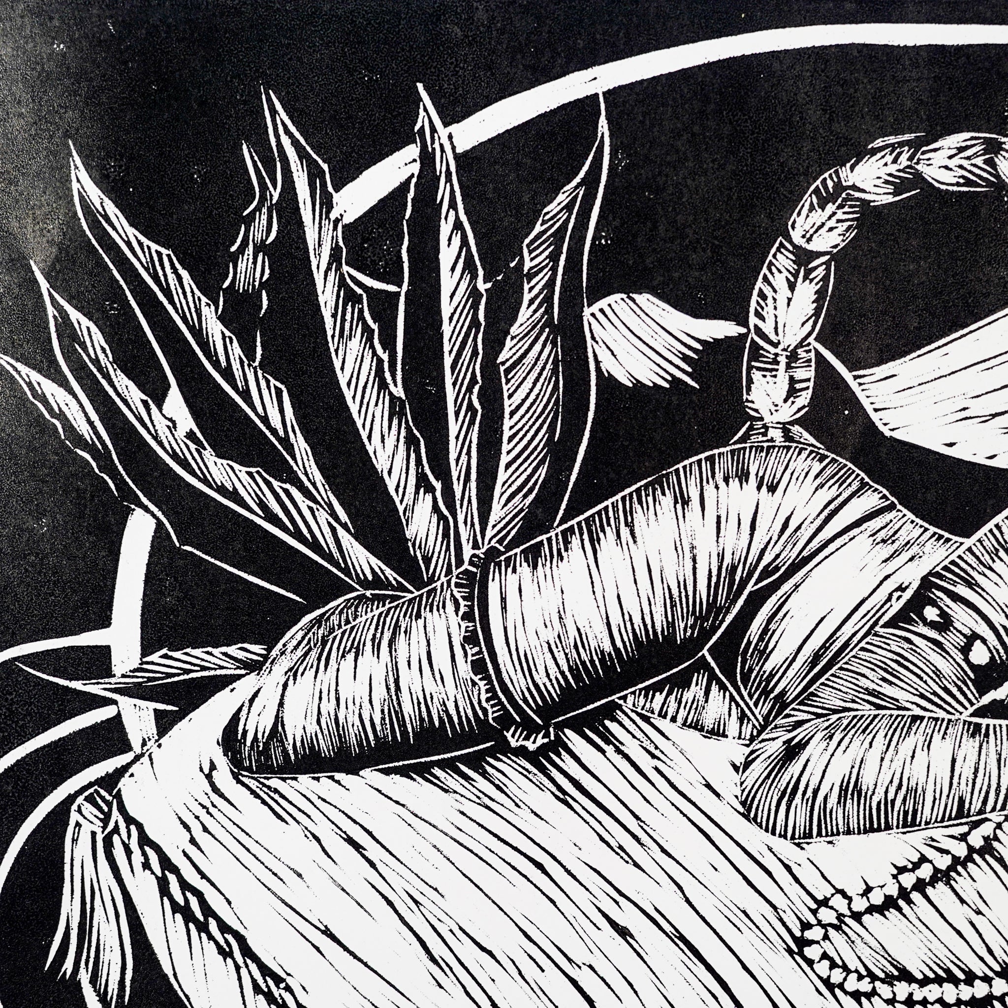 "ESCORPIONA" - MX Original Linocut Print