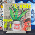 "Maceta Resis77e" - MX Original Street Art