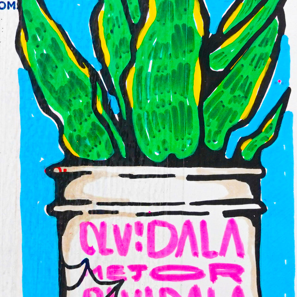 "Olvidala" | MX Original Painting
